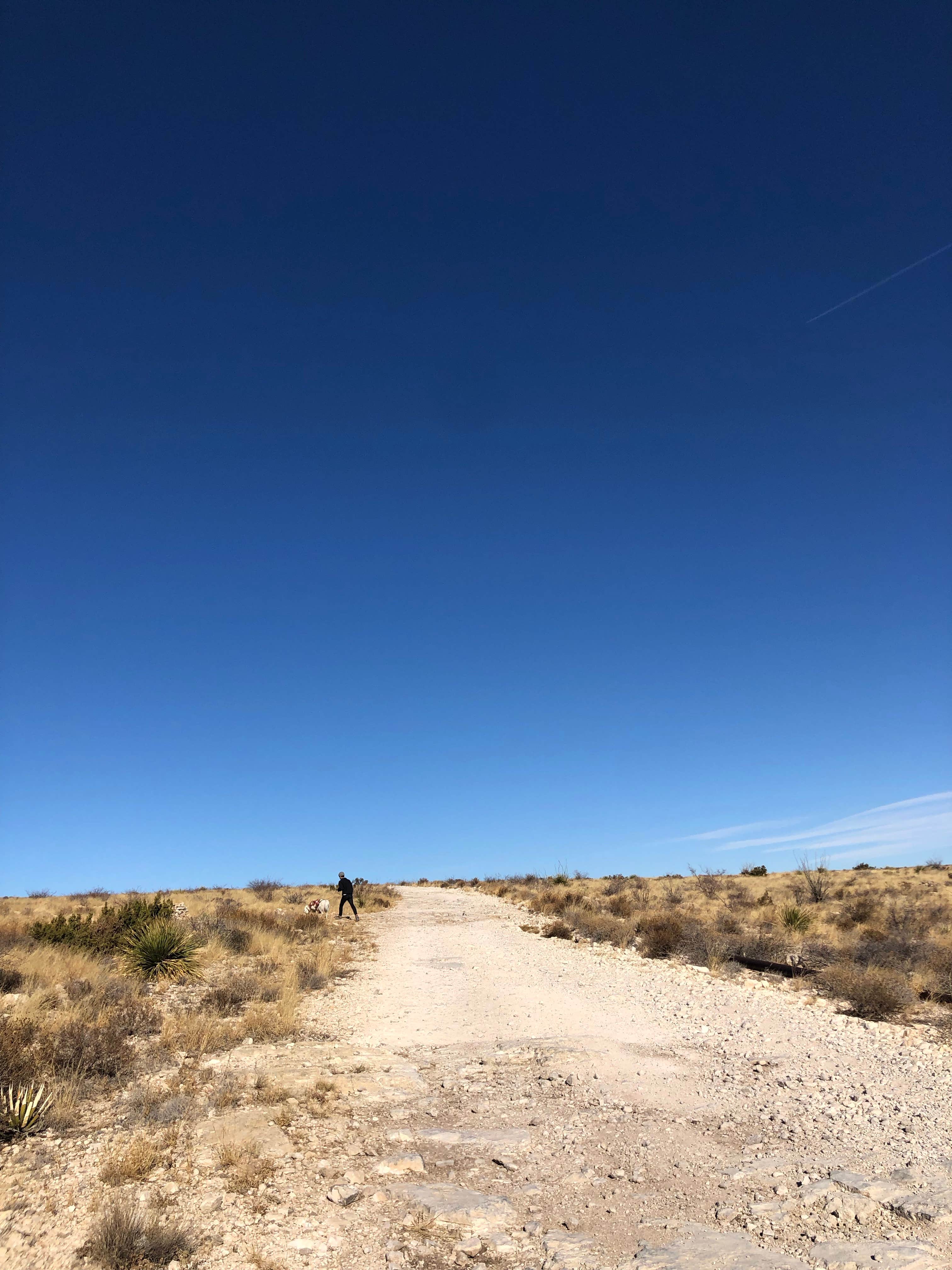 Camper submitted image from Carlsbad BLM Land Dispersed - 5