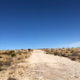 Review photo of Carlsbad BLM Land Dispersed by Nikki B., January 18, 2022