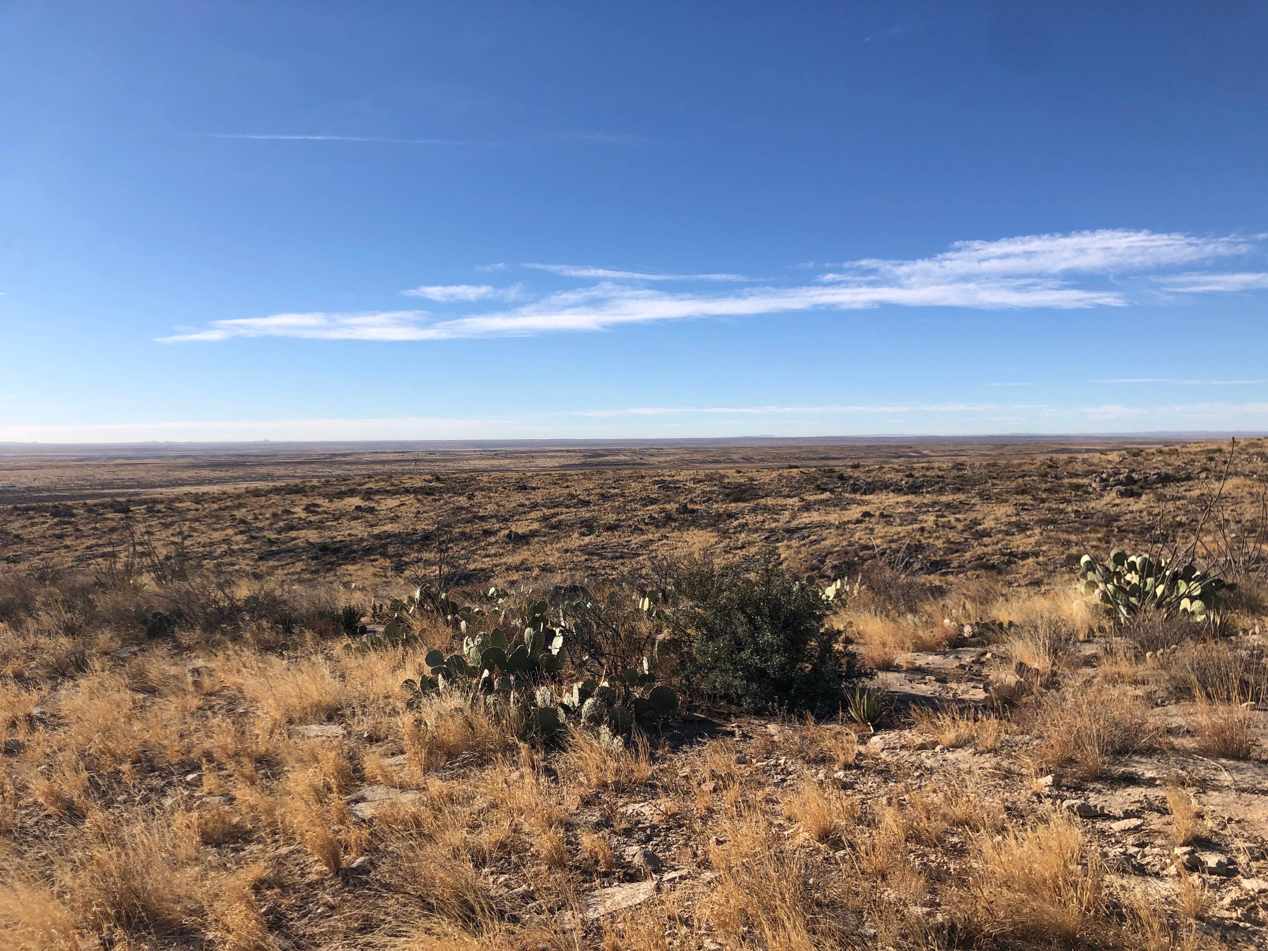 Camper submitted image from Carlsbad BLM Land Dispersed - 2