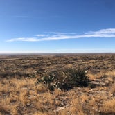 Review photo of Carlsbad BLM Land Dispersed by Nikki B., January 18, 2022