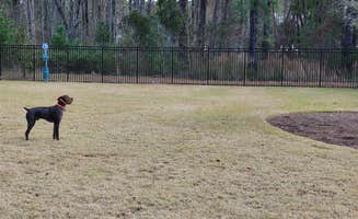 T S.'s photo of camping with pets at Hilton Head National RV Resort near Tybee Island, GA