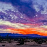 Review photo of Joshua Tree South - BLM Dispersed by Heather L., January 18, 2022