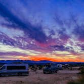 Review photo of Joshua Tree South - BLM Dispersed by Heather L., January 18, 2022