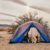 Review photo of Joshua Tree South - BLM Dispersed by Heather L., January 18, 2022