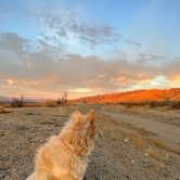 Review photo of Joshua Tree South - BLM Dispersed by Heather L., January 18, 2022