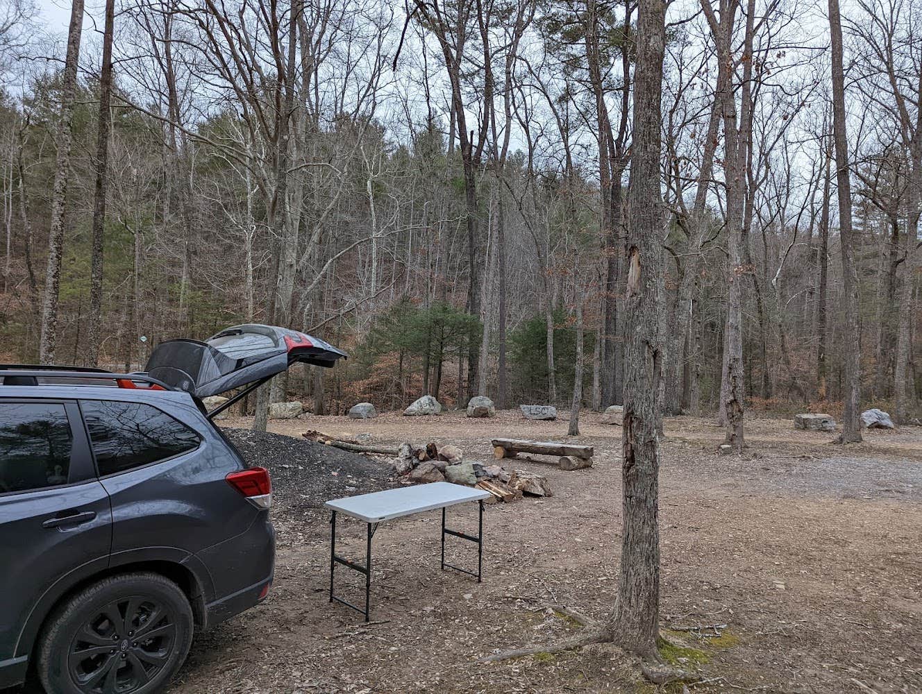 Camper submitted image from Dispersed Camping Site off FR 812 - 2