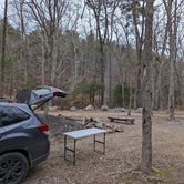 Review photo of Dispersed Camping Site off FR 812 by Jon N., January 18, 2022