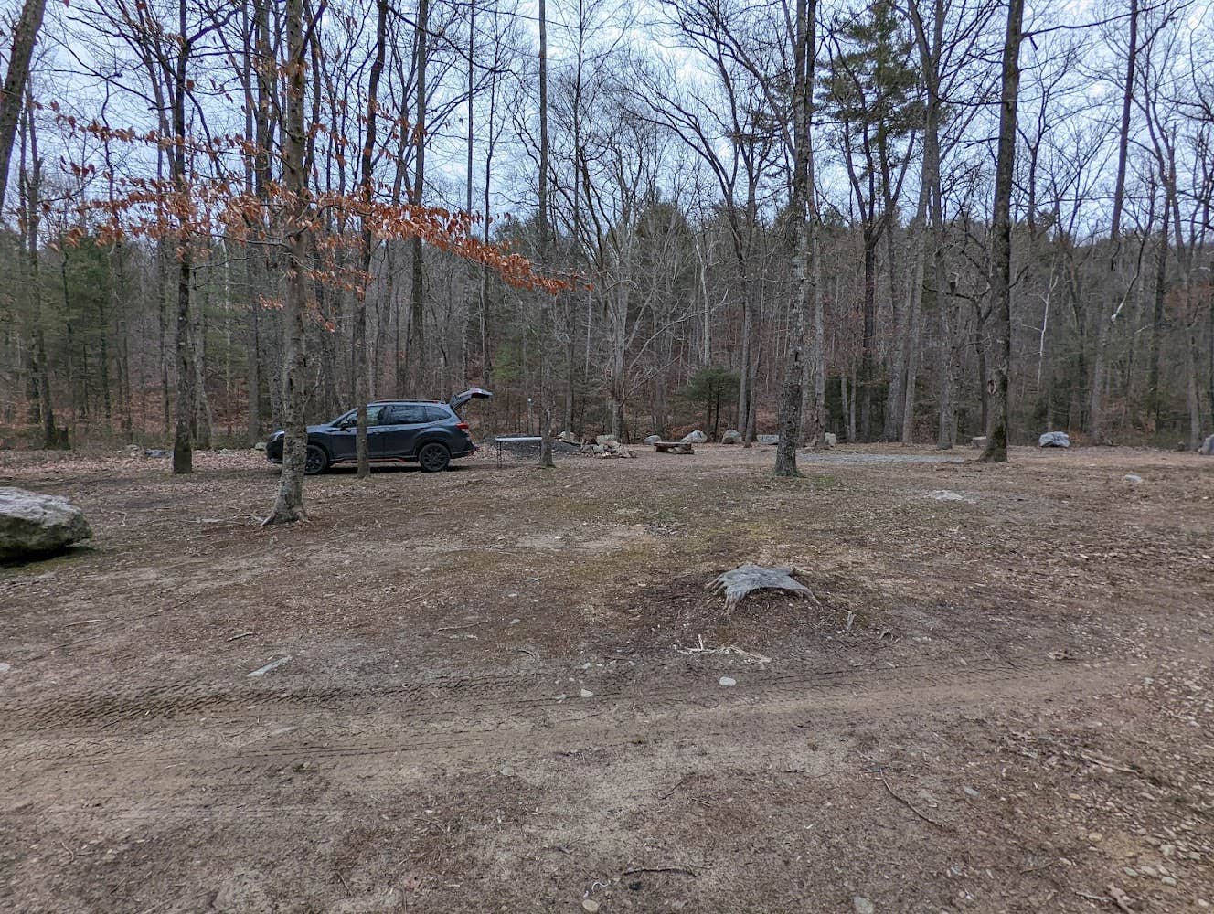 Camper submitted image from Dispersed Camping Site off FR 812 - 3