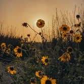 Review photo of Bolsa Chica State Beach Campground by Heather L., January 18, 2022