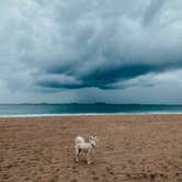 Review photo of Bolsa Chica State Beach by Heather L., January 18, 2022