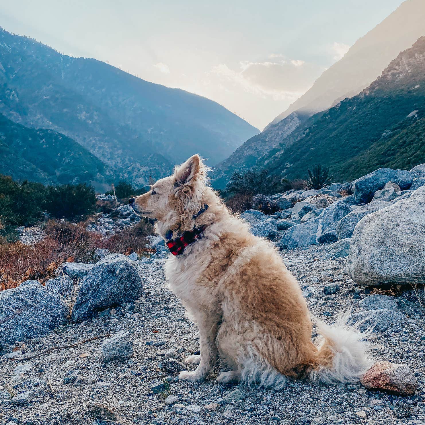 Bonita Ranch Campground Camping Scotland, CA The Dyrt