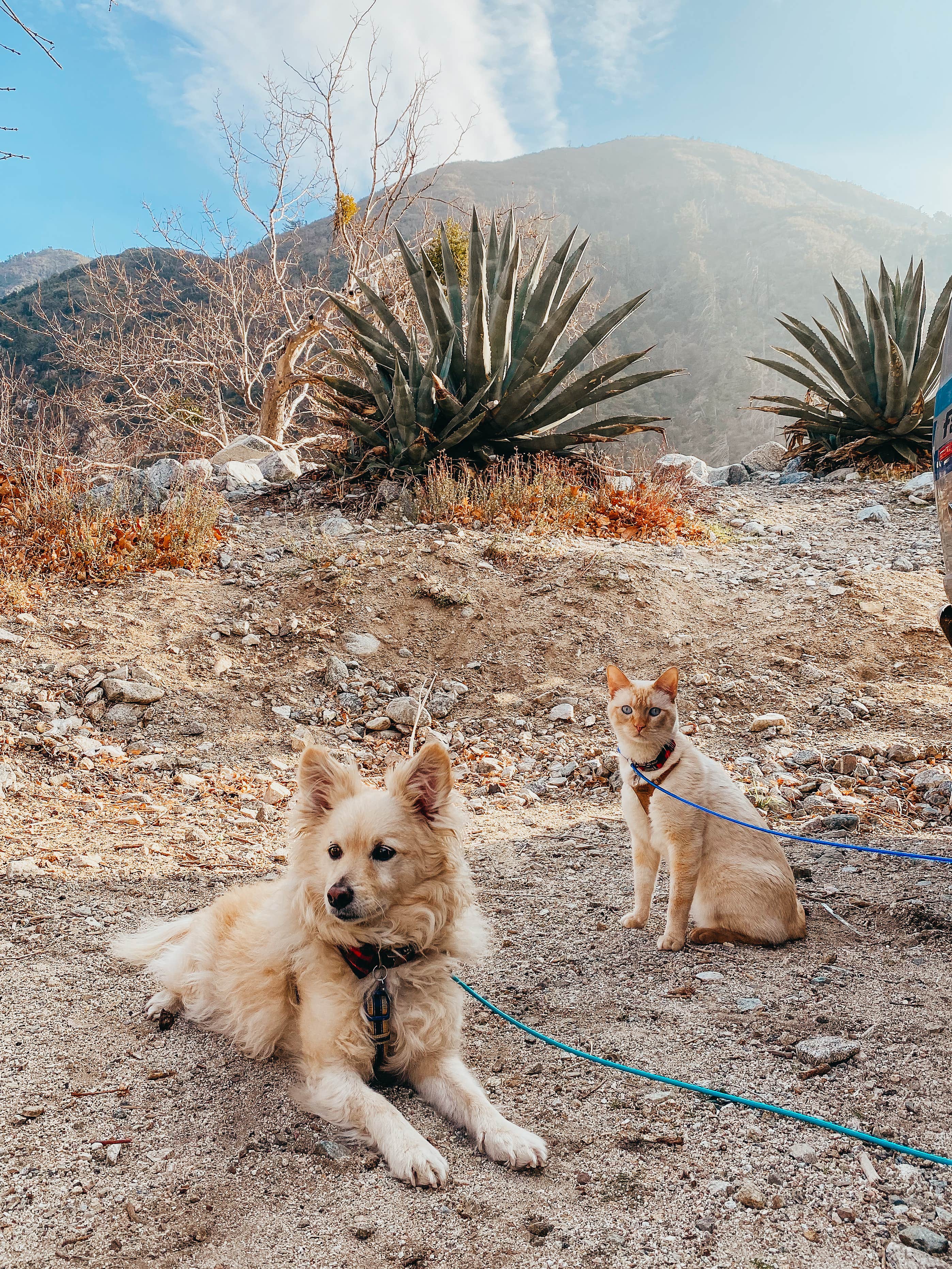 Camper-submitted photo at Bonita Ranch Campground near Mount Baldy, CA