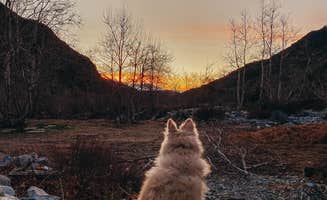 Heather L.'s photo of camping with pets at Bonita Ranch Campground near Blue Jay, CA