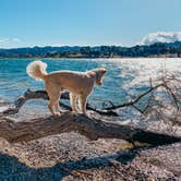 Review photo of Castaic Lake State Recreation Area by Heather L., January 18, 2022