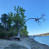 Review photo of Castaic Lake State Recreation Area by Heather L., January 18, 2022