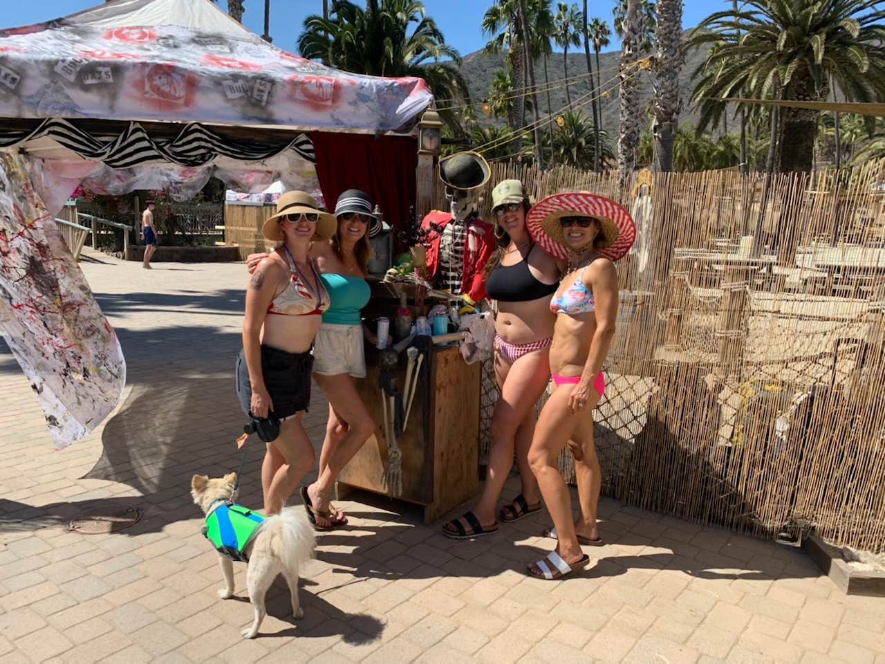 Heather L.'s photo of camping with pets at Two Harbors Campground near Sunset Beach, CA