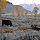 Review photo of Gros Ventre Campground — Grand Teton National Park by Deanna C., July 9, 2018