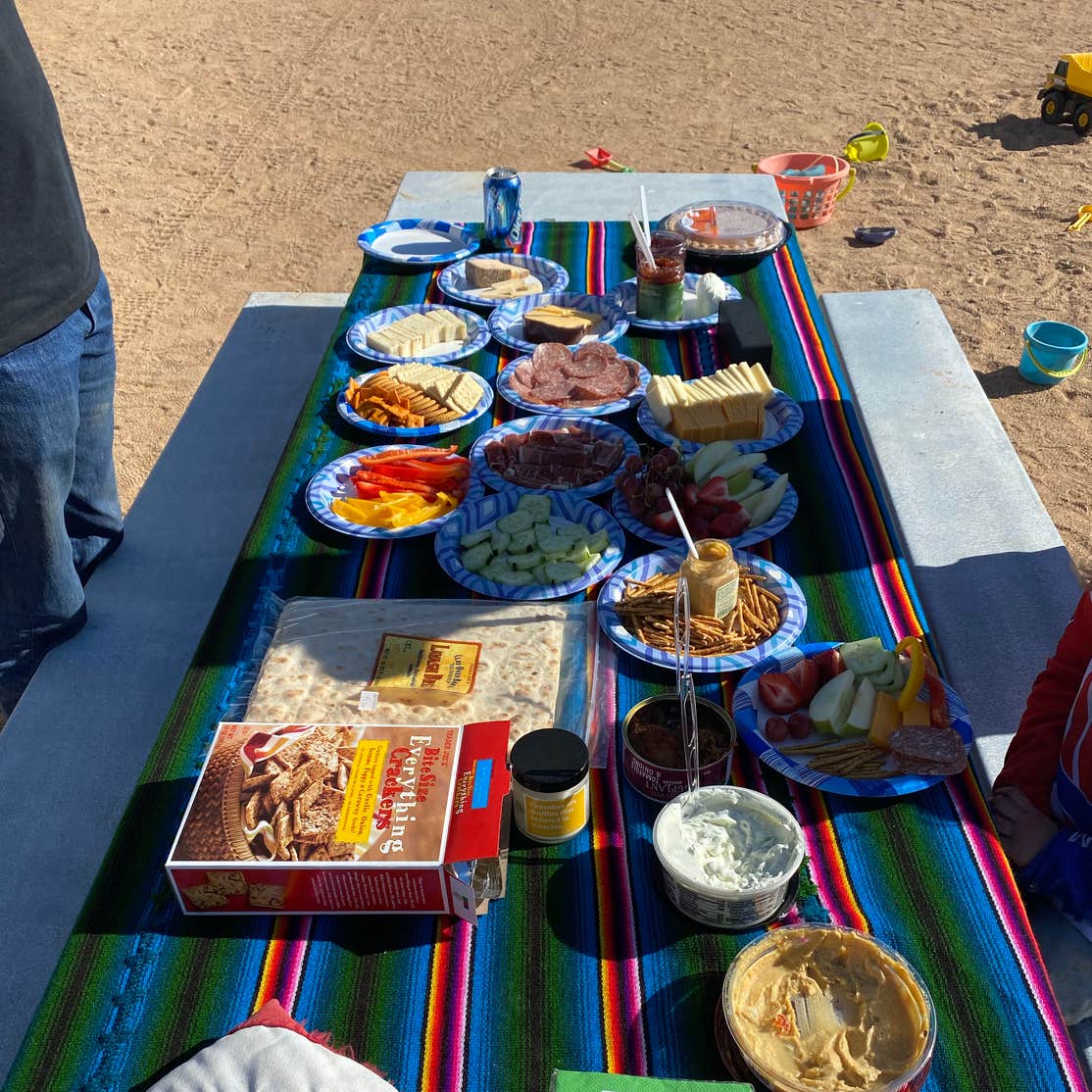 BLM Barstow Dispersed Camp Area Joshua Tree National Park, CA
