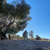 Review photo of BLM Barstow - Dispersed Camp Area by Heather L., January 18, 2022