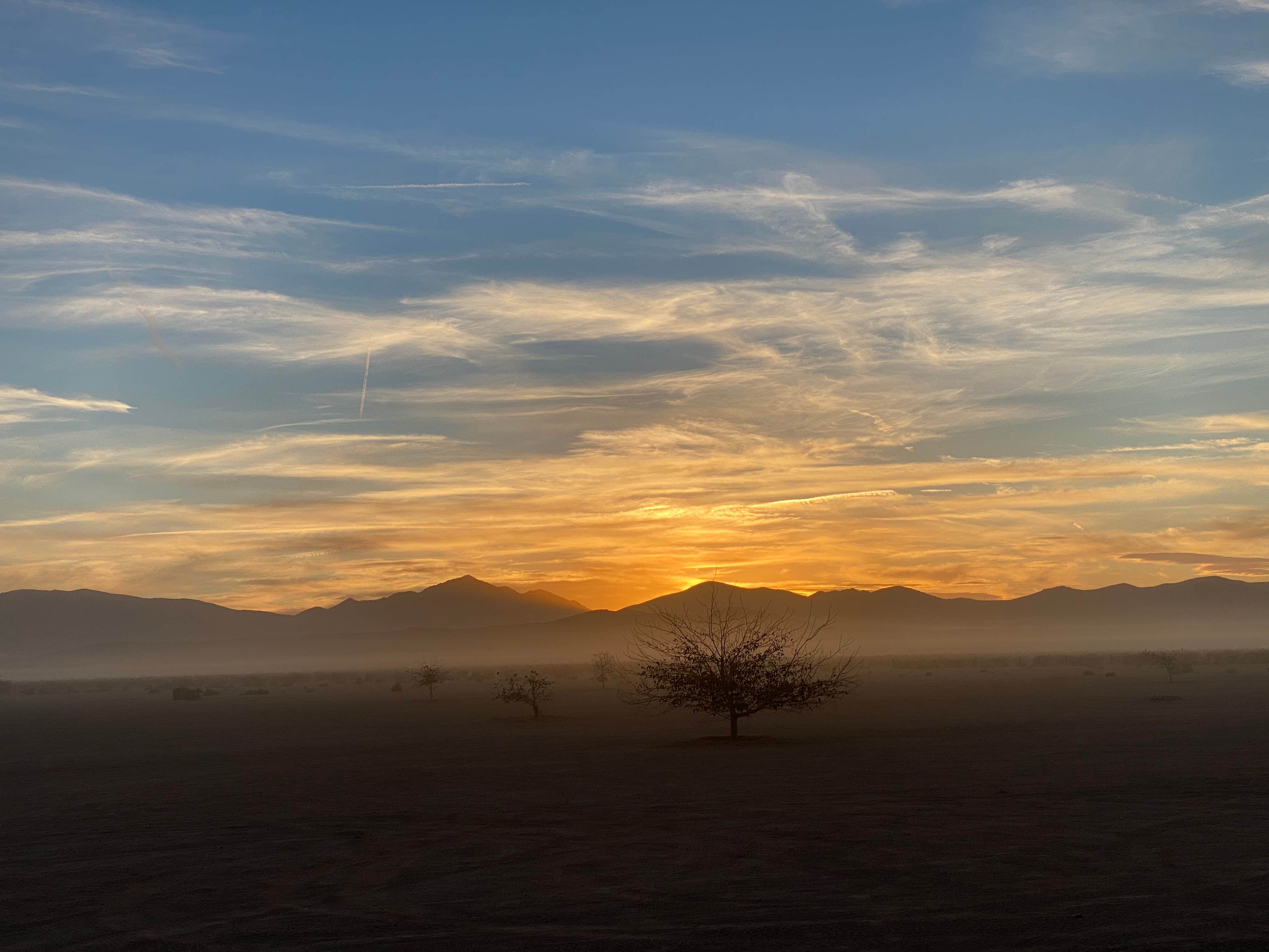 BLM Barstow Dispersed Camp Area Joshua Tree National Park, CA