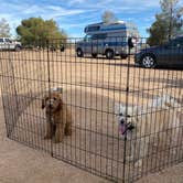 Review photo of BLM Barstow - Dispersed Camp Area by Heather L., January 18, 2022