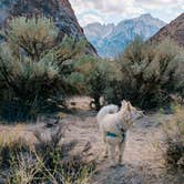 Review photo of Alabama Hills Recreation Area by Heather L., January 18, 2022