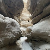 Review photo of Blair Valley Primitive Campground — Anza-Borrego Desert State Park by Heather L., January 18, 2022