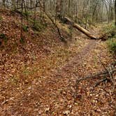 Review photo of Rocky Springs Campground, Milepost 54.8 — Natchez Trace Parkway by VanpeDiem D., January 18, 2022