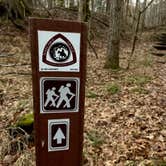 Review photo of Rocky Springs Campground, Milepost 54.8 — Natchez Trace Parkway by VanpeDiem D., January 18, 2022