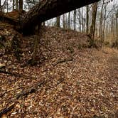 Review photo of Rocky Springs Campground, Milepost 54.8 — Natchez Trace Parkway by VanpeDiem D., January 18, 2022