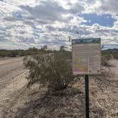 Review photo of BLM Sonoran Desert National Monument - Vekol Road Dispersed Camping Area by Greg L., January 18, 2022