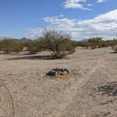 Review photo of BLM Sonoran Desert National Monument - Vekol Road Dispersed Camping Area by Greg L., January 18, 2022