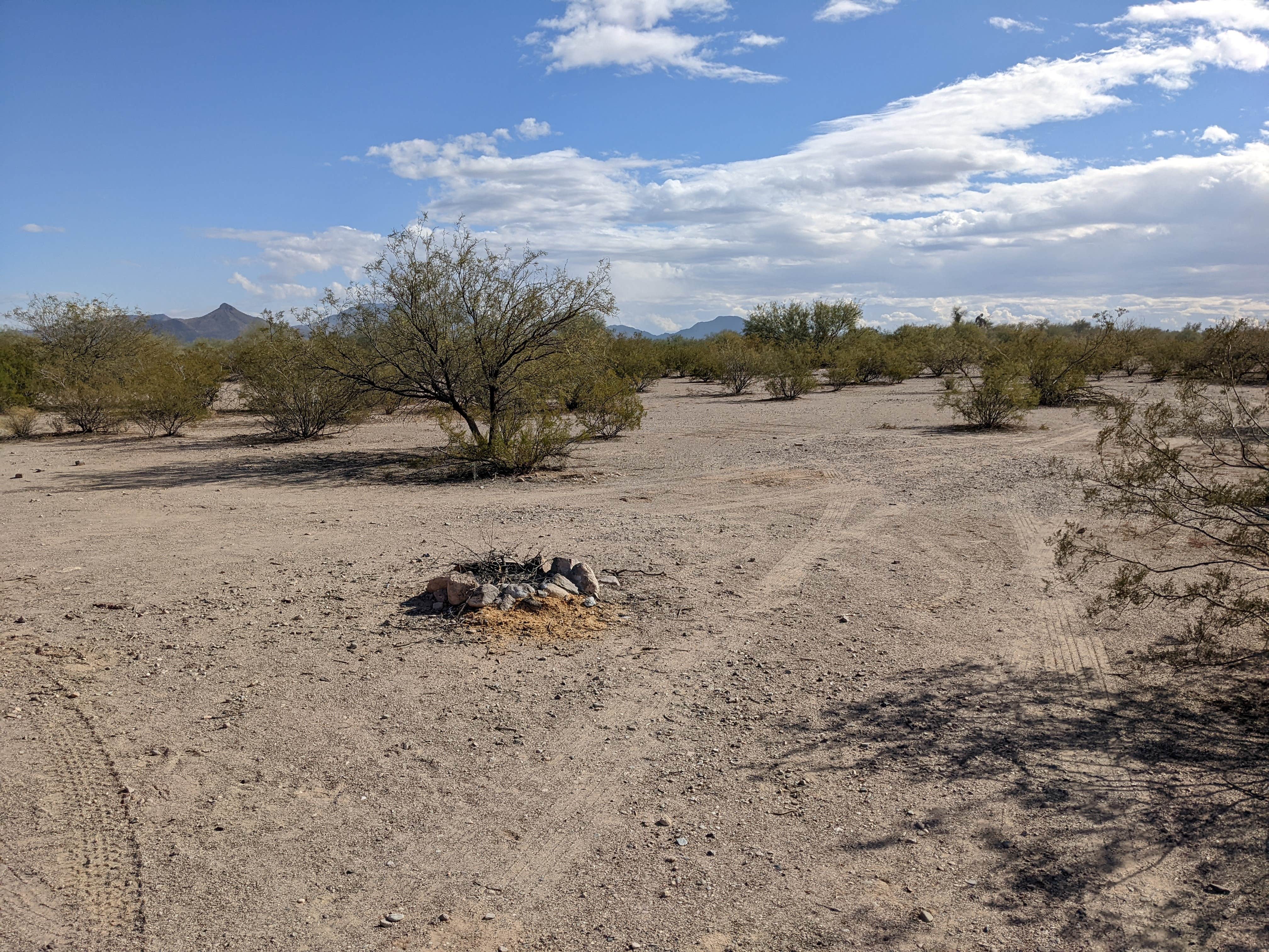 Camper submitted image from BLM Sonoran Desert National Monument - Vekol Road Dispersed Camping Area - 2