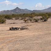 Review photo of BLM Sonoran Desert National Monument - Vekol Road Dispersed Camping Area by Greg L., January 18, 2022