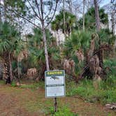 Review photo of Pine Grove Campground — Jonathan Dickinson State Park by janet H., January 18, 2022