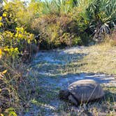 Review photo of Pine Grove Campground — Jonathan Dickinson State Park by janet H., January 18, 2022