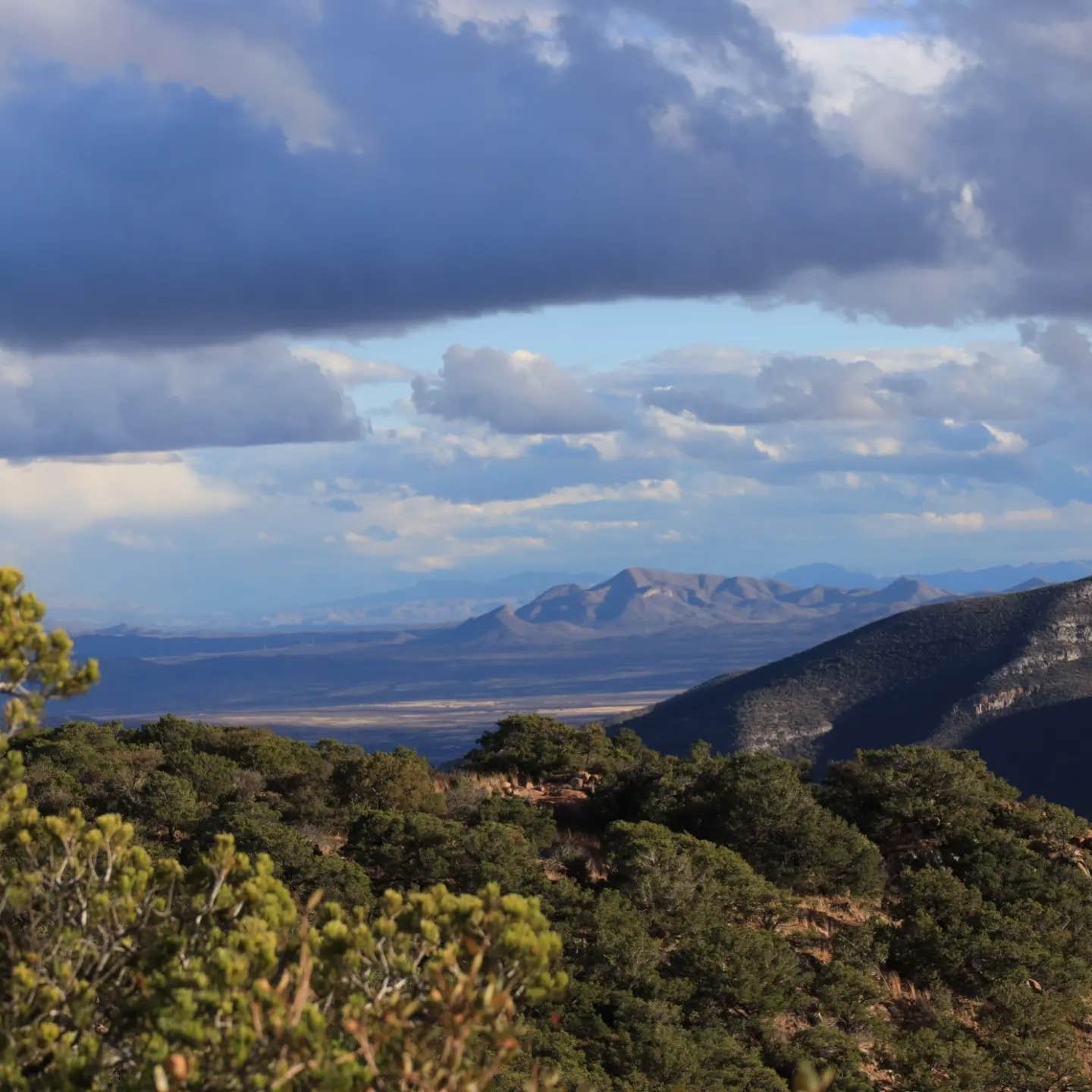 Debra P.'s photo of a dispersed camping area at Upper Juniper Flats Road near Chiricahua, AZ