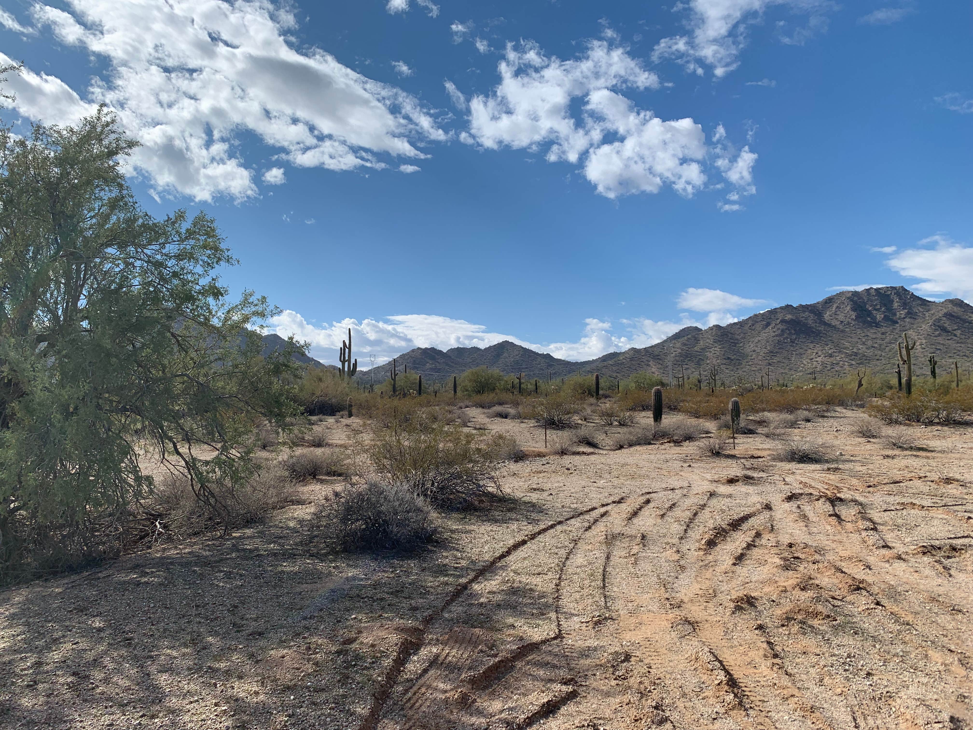 Camper-submitted photo at Patriot Place near Coolidge, AZ