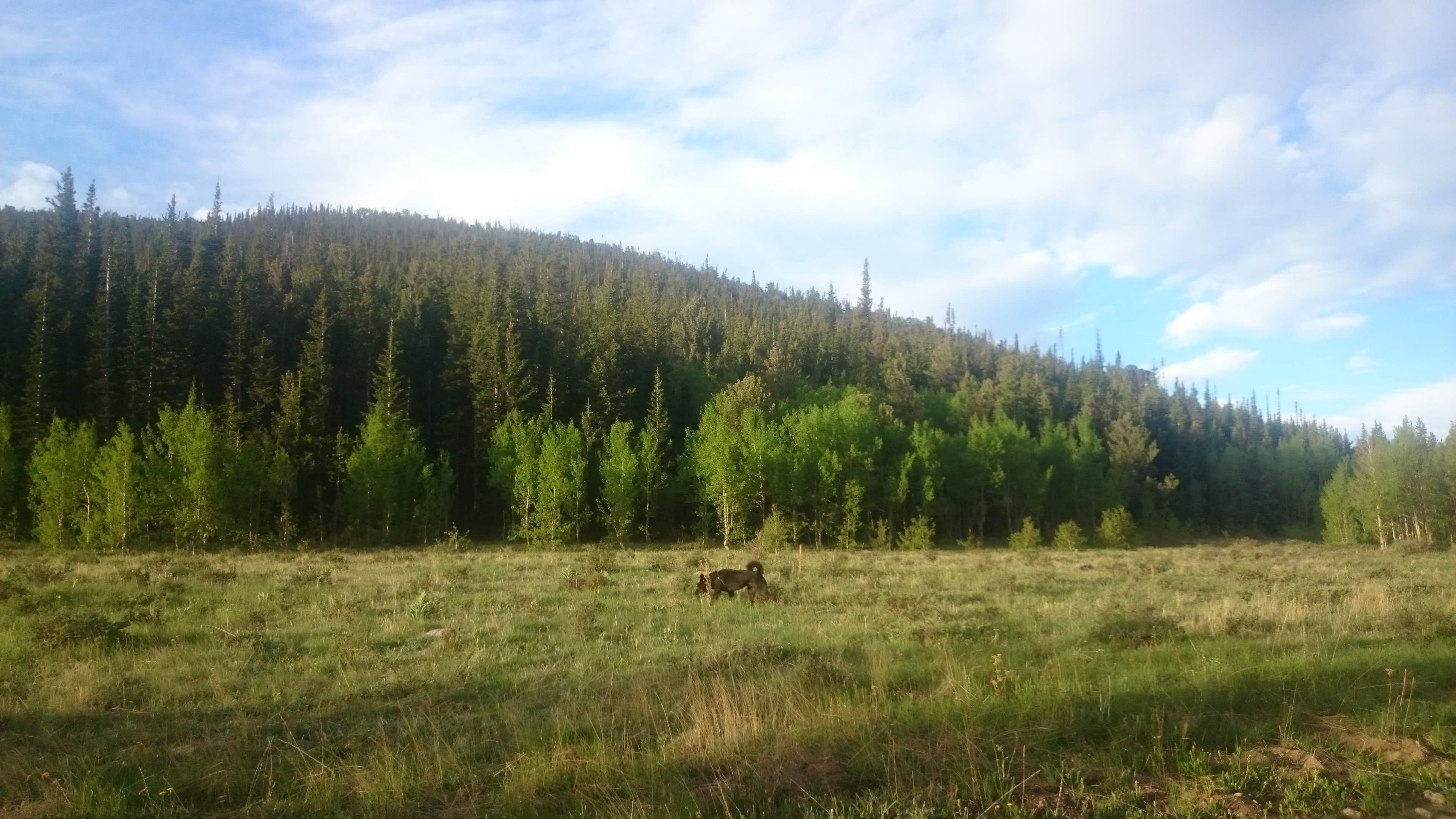 Camper-submitted photo at Rainbow Lakes Campground near Nederland, CO