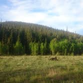 Review photo of Rainbow Lakes Campground by Daniel  B., July 25, 2016