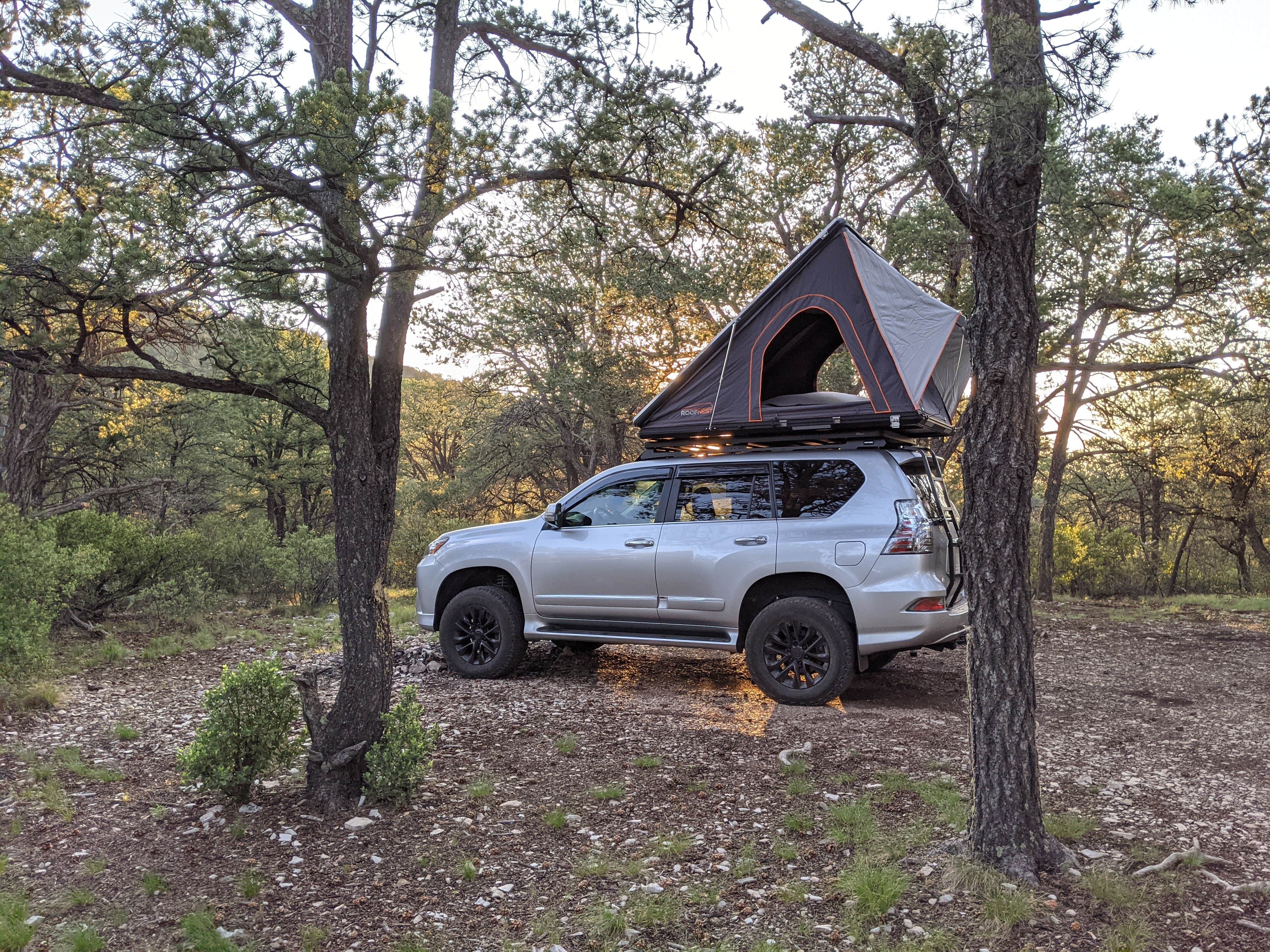 Camper-submitted photo at Bear Mountain near Arenas Valley, NM