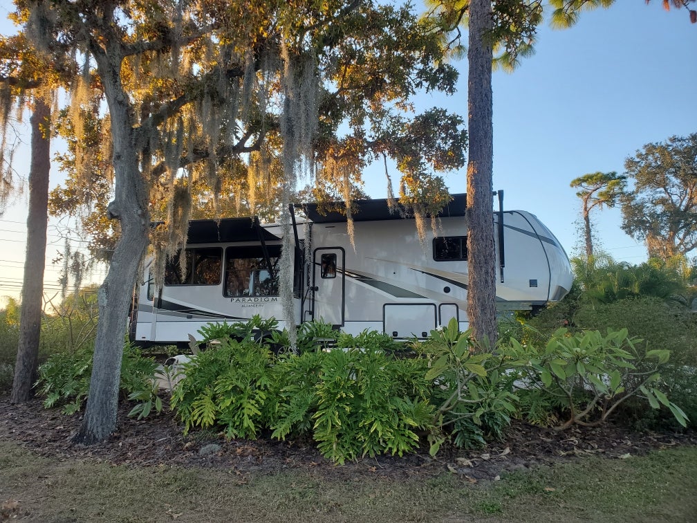 Camper submitted image from Clearwater-Lake Tarpon KOA - 1