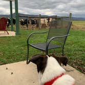 Review photo of KOA Luray RV Resort by Tina , January 19, 2022