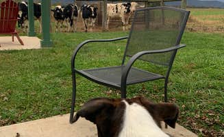 Tina's photo of camping with pets at KOA Luray RV Resort near Shenandoah, VA