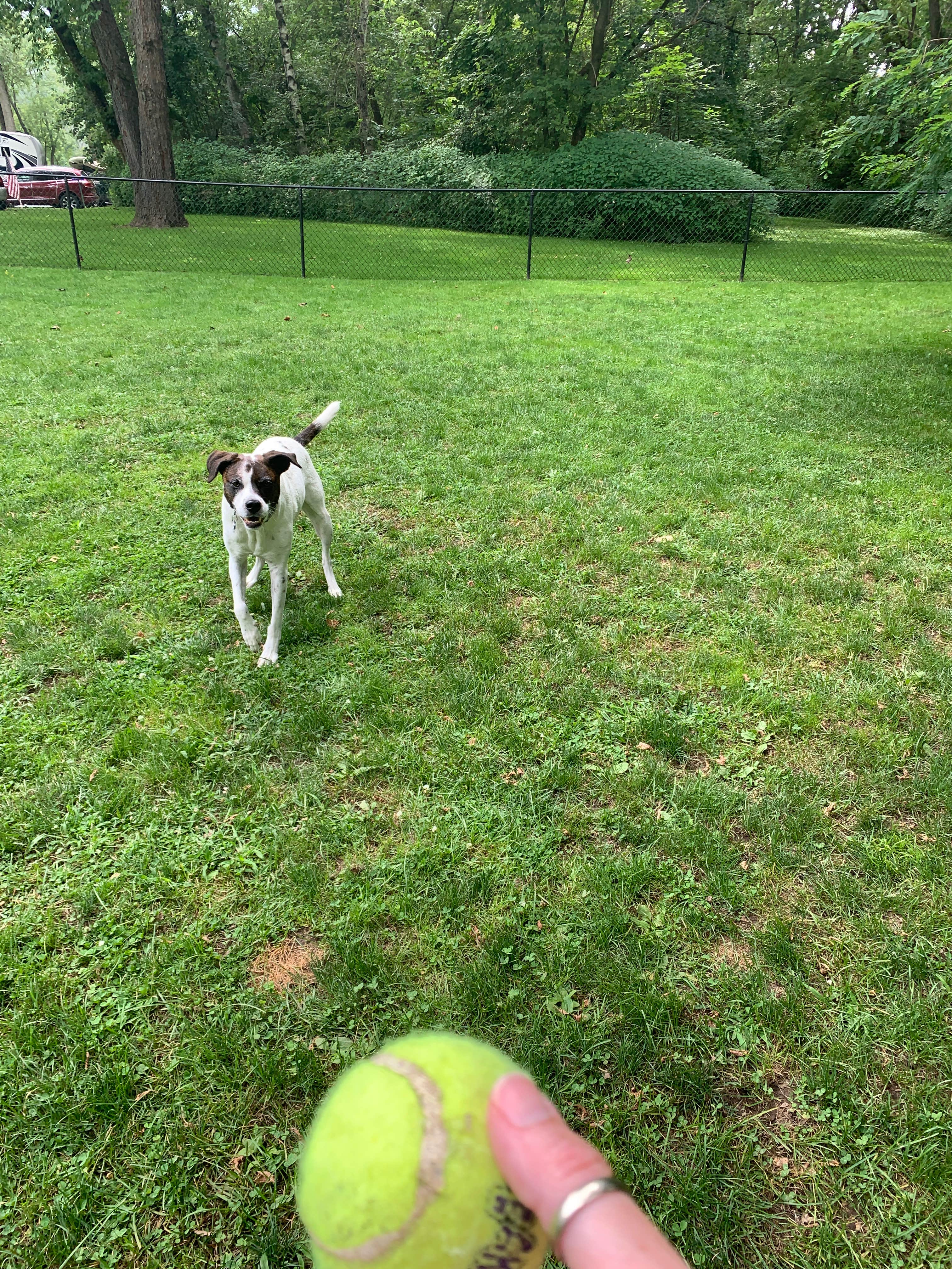 Camper-submitted photo at Arrowhead Marina & RV Park near Hunter, NY