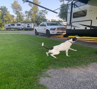 Camper-submitted photo from Lake Bluff RV Park