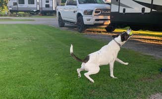 Tina's photo of camping with pets at Junius Ponds near Baldwinsville, NY