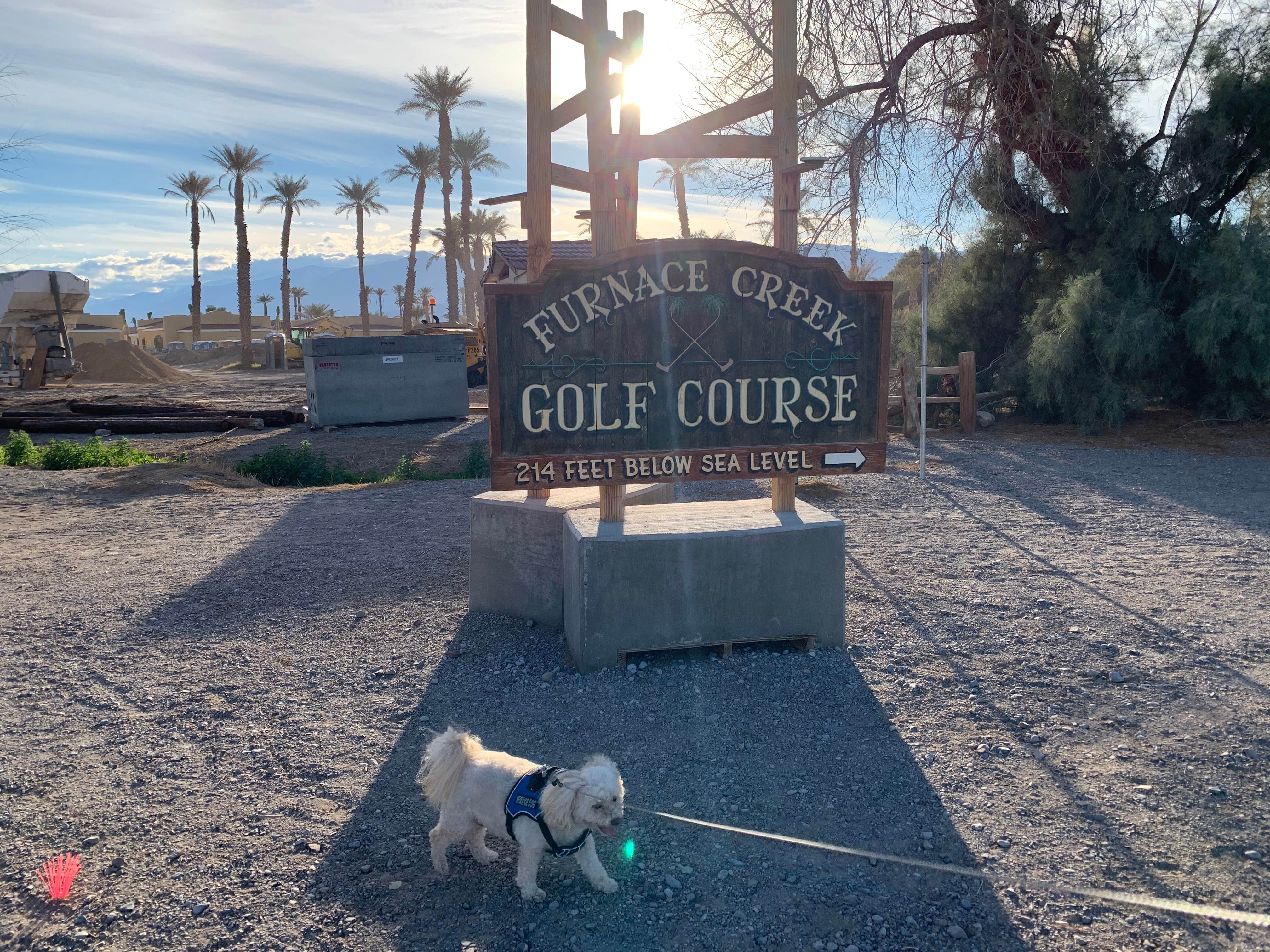 Jerome C.'s photo of camping with pets at Furnace Creek Campground — Death Valley National Park near Beatty, NV