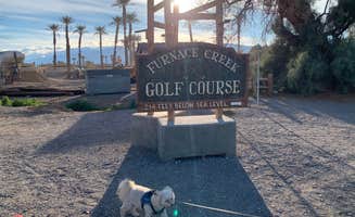 Jerome C.'s photo of camping with pets at Furnace Creek Campground — Death Valley National Park near Death Valley National Park