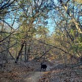 Review photo of Thousand Trails Lake Whitney by Kimberly , January 19, 2022